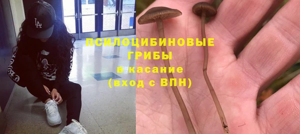 марки lsd Богданович