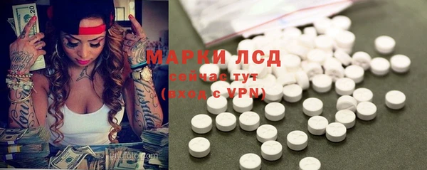 ПСИЛОЦИБИНОВЫЕ ГРИБЫ Беломорск