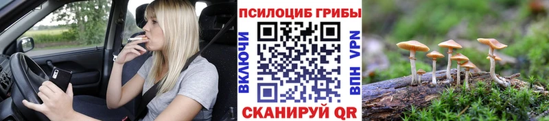 как найти закладки  Михайловск  Галлюциногенные грибы Magic Shrooms 