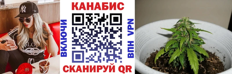 что такое Михайловск omg Марихуана OG Kush